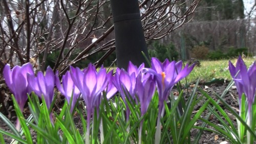 Пришла весна!