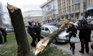 По Киевской области прокатился шторм.