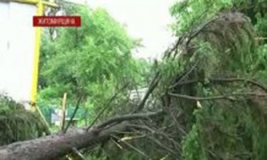 Украина страдает от непогоды