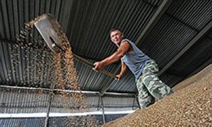 Фото: Денис Вышинский / Коммерсантъ