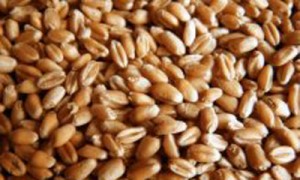 Кабмине ждет миллиарда инвестиций в агросектор с заграницы