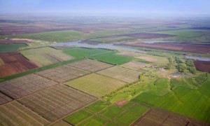 Землю нельзя будет арендовать менее чем на 12-15 лет / Фото : yagotinrda.ucoz.ua