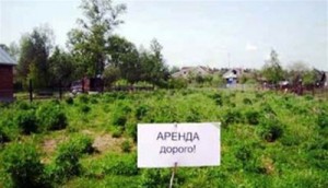 В Кабмине думают, что делать с арендой земли. Фото: Обозреватель
