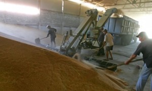 Фото: УНИАН.