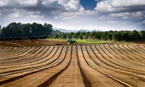 Фото Imago/Global Look