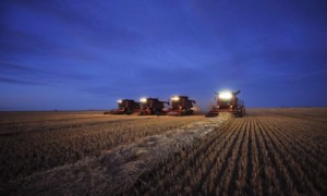 162 уголовных производства возбуждено по вопросам использования сельхозземель. Фото: izvestia.ru