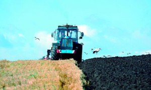 После инвентаризации цена на сельхозземли вырастет. Фото: Александр Пархоменко