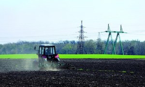 Производители опасаются, что если проблема с регистрацией прав на аренду земель сельхозназначения не будет решена, объемы производства и экспорт агропродукции упадут. Фото: Константин Мельницкий