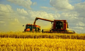 Фото: regioninvest.by