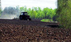 Депутаты предложили агрохолдингам с большим размером земельного банка платить налоги по месту расположения угодий. Фото: Константин Мельницкий