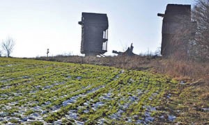 Фото Ильи Литвиненко 