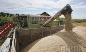 Вопреки договоренностям, Китаю продали зерна на сумму только 153 млн долл.