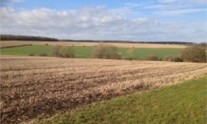 В Украине каждый второй земельный пай сдается на краткосрочный период. Фото: freeimages.com