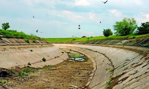 Крымские фермеры могут так и не дождаться воды из Украины. Фото: Reuters
