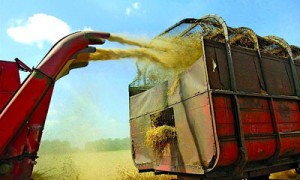 KSG Agro рискует переполнить чашу терпения инвесторов. Фото: PHL