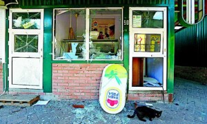 Черная кошка перешла дорогу страховщикам в Донбассе. Фото: Reuters