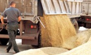 Китайцы дадут украинским аграриям до 4 млрд долларов кредита. automotorblog.com