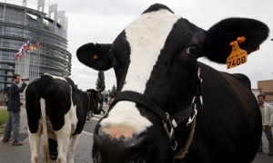 Нарышкин надеется, что политики ЕС осознают опасность раскручивания 