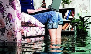 Фото: Fotobank.ua