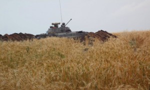 Юлия Евдокимова. Из-за боевых действий на Донбассе Украина уже потеряла 15% урожая