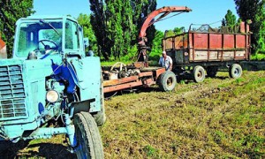 В следующем году фермеры могут не досчитаться прибыли. Фото: Униан