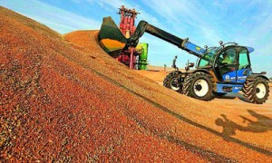 Убытки не обошли стороной и аграриев, которые должны были стать драйверами восстановления экономики. Фото: Reuters