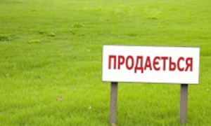 Гройсман поручил Госземагенству обеспечить проведение земельных аукционов.