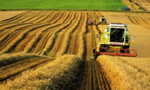 Кредитование АПК сократилось на миллиарды гривен. Фото: www.ipukr.com