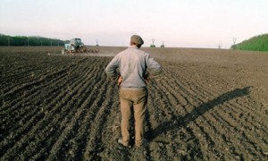 Фото: novapolitika.com