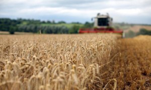 Фото: Getty Images