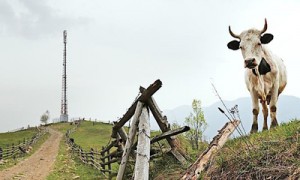 Новому министру предстоит вывести украинскую животноводческую продукцию на европейский рынок. Фото: Иван Черничкин