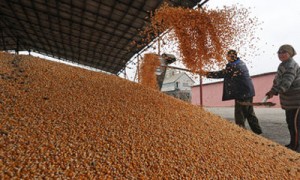 Эксперты говорят, что экономику Украины спасет сельское хозяйство Из архива 