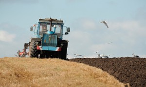 Фото: Александр Пархоменко