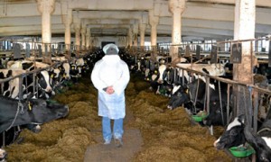 Фото: пресс-служба Trigon Agri