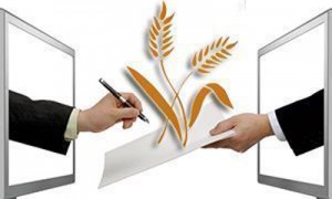 ГПЗКУ не планирует форвардных закупок в 2015 г. Latifundist.com