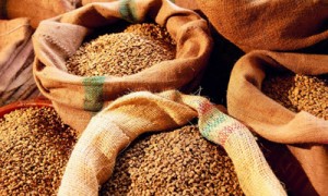 Фото: persha.kr.ua