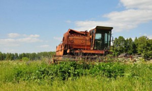 Приватизация предприятий Минагрополитики затронет не более 200-300 тыс га принадлежащих им земель