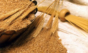 Фото agrofond.gov.ua