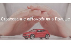 Фото: Shutterstock