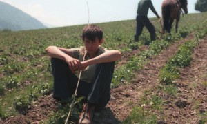 За свою землю крестьяне запросят кругленькую сумму.