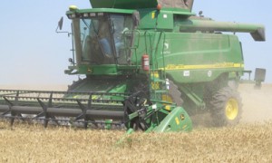 Фото Александра Прищепы, 