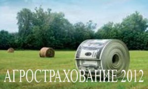 Дата проведения: 28.11.2012  - 28.11.2012