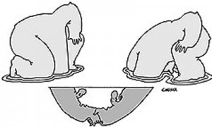 Полученные показатели МТСБУ не опубликовало, возможно, не захотев идти на более жесткий конфликт со своими членами. Фото: Виктор Чумачев