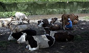 Фото: Михаил Квасов / Коммерсантъ