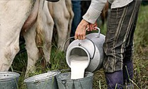 Фото: Дмитрий Брушко / Коммерсантъ