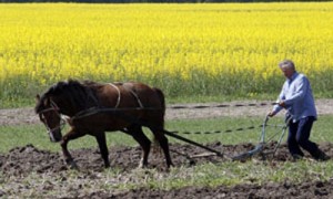 Центральная власть решила задобрить местных вассалов деньгами, дополнительно собранными с аграриев