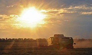 Фото: Денис Вышинский / Коммерсантъ