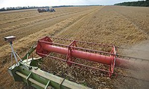 Фото: Денис Вышинский / Коммерсантъ