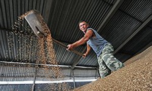 Фото: Денис Вышинский / Коммерсантъ