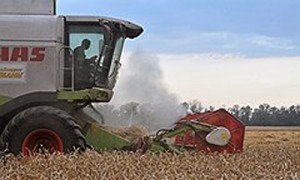 Фото: Денис Вышинский / Коммерсантъ